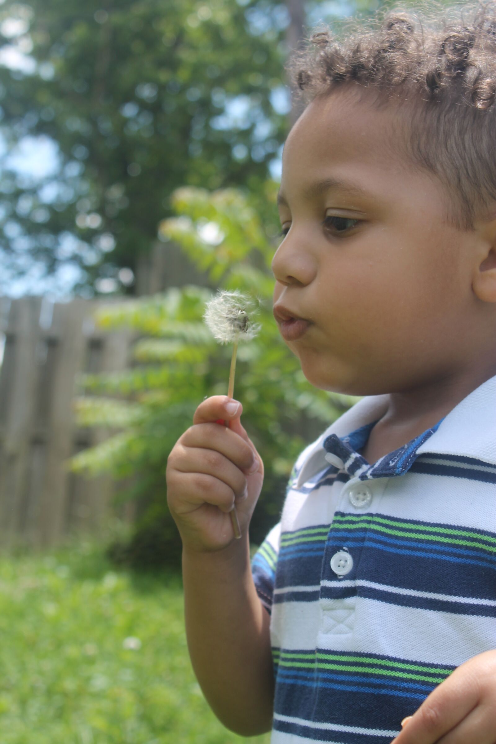 Canon EOS 1100D (EOS Rebel T3 / EOS Kiss X50) sample photo. Pre-schooler, boy, dandelion seeds photography