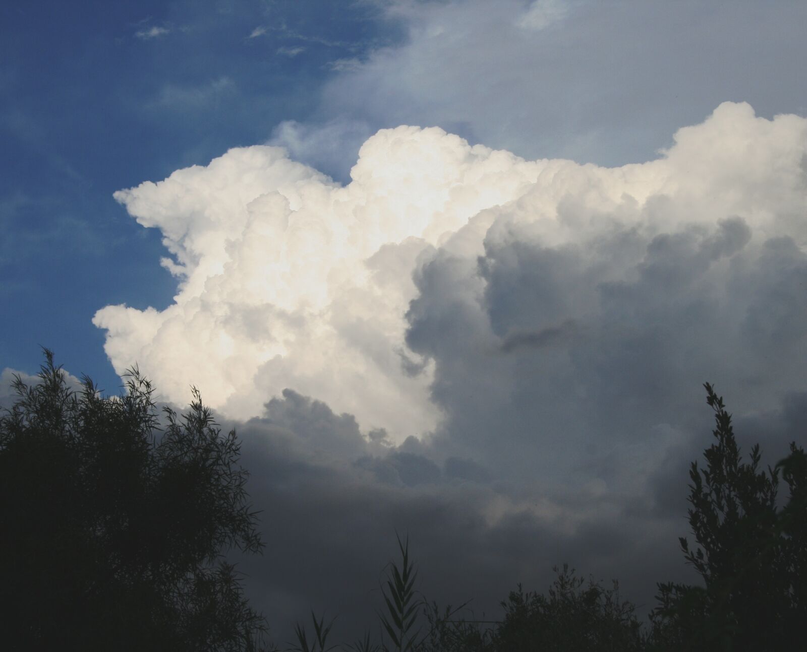Canon EOS 400D (EOS Digital Rebel XTi / EOS Kiss Digital X) sample photo. Clouds, cumulus, dense photography