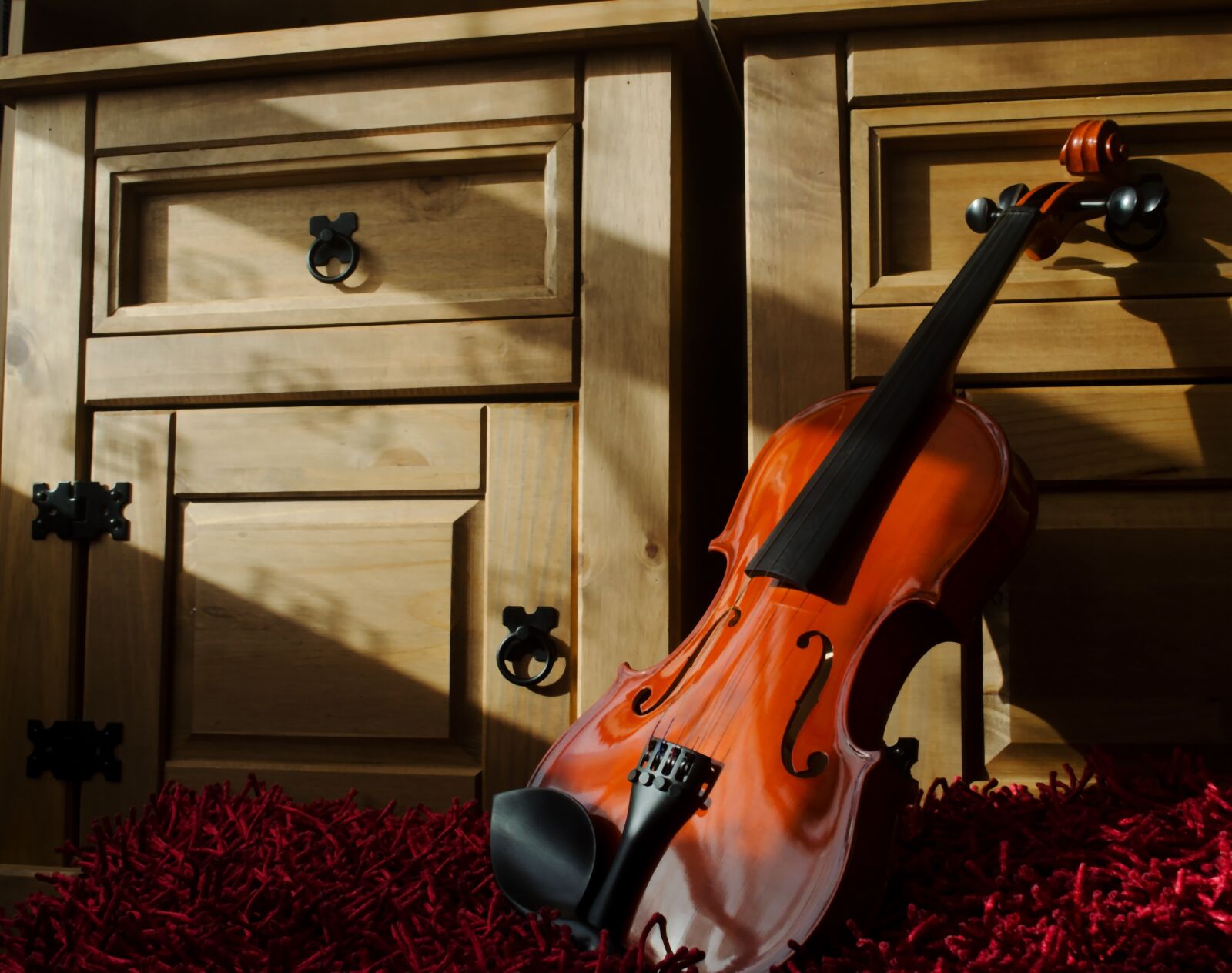 Nikon D5100 sample photo. Violin, music, art photography