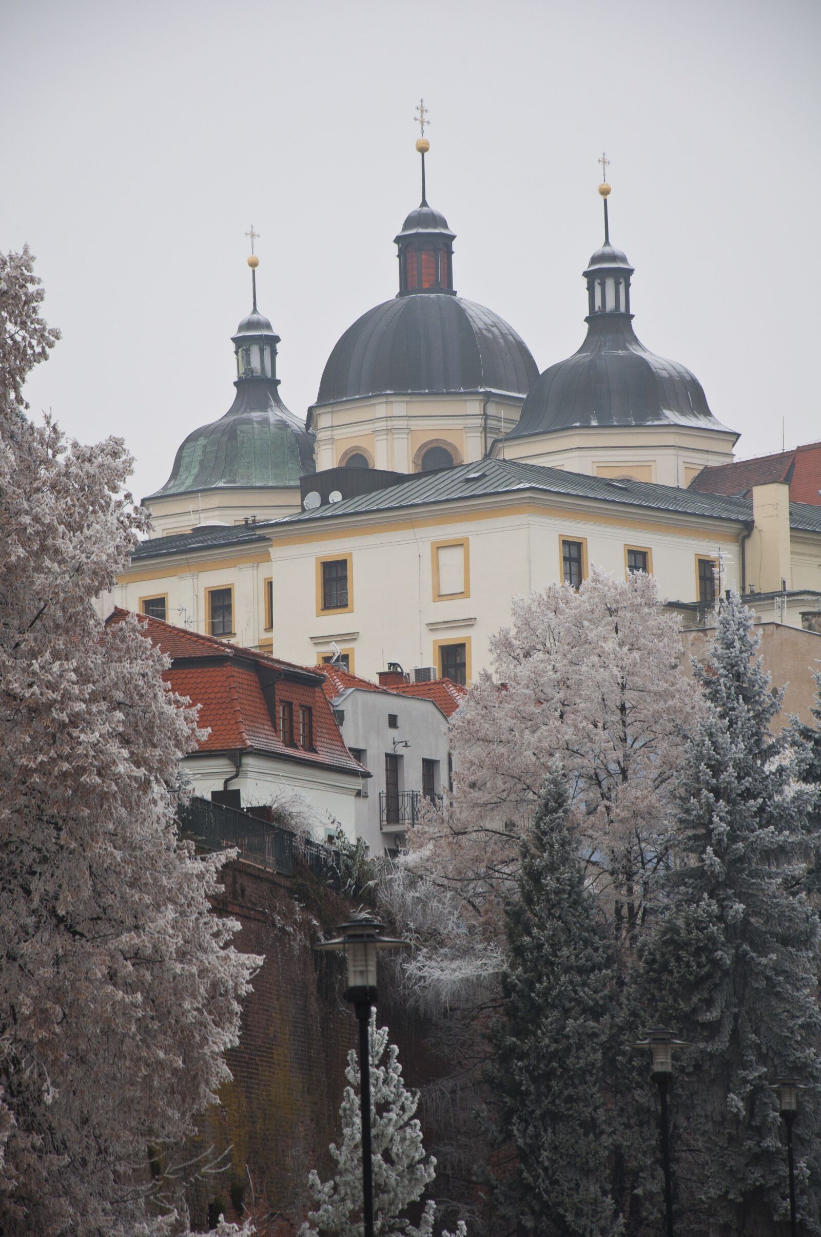 Nikon D90 sample photo. Winter, olomouc, frost photography