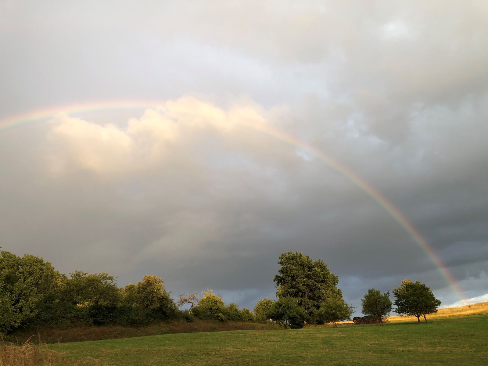 Apple iPhone 8 sample photo. Landscape, rainbow, tree photography