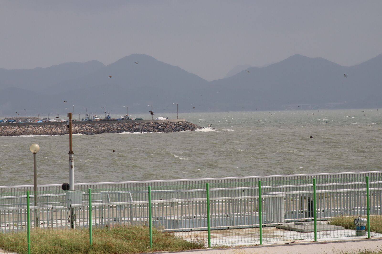 Canon EOS M50 (EOS Kiss M) sample photo. Sea, beach, water photography