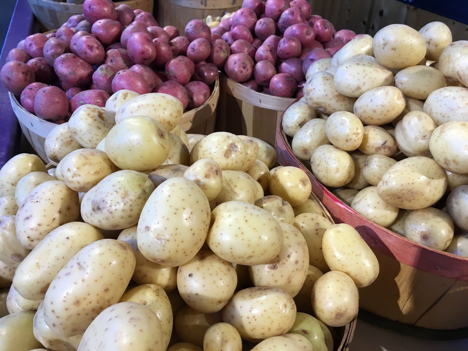 iPhone 6s back camera 4.15mm f/2.2 sample photo. Potatoes photography