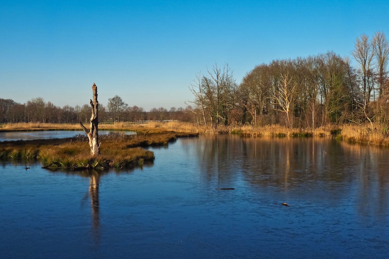 Olympus OM-D E-M10 sample photo. Landscape, lake, nature photography