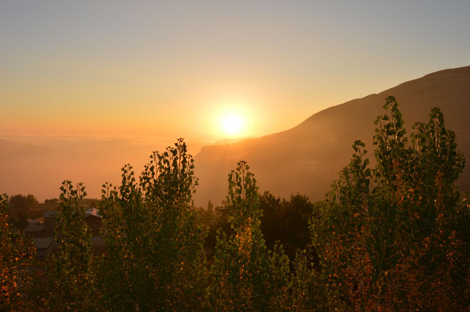 Nikon D3200 sample photo. Sunset, faraya, trees photography