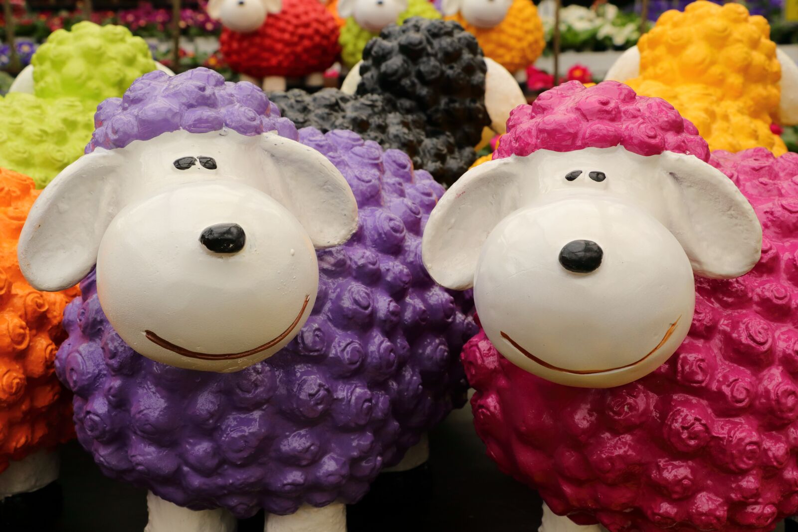 Canon EOS 80D sample photo. Sheep, deco, ceramic photography