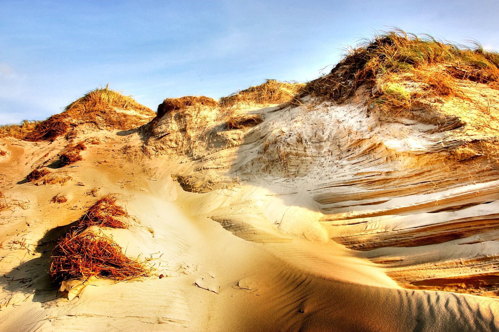 Nikon D40 sample photo. Dune, beach, sea photography