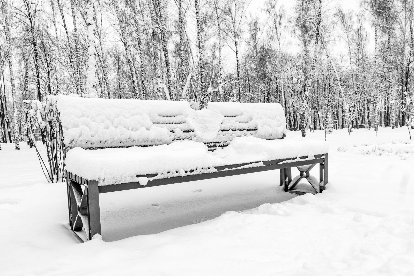 Sony E 16-50mm F3.5-5.6 PZ OSS sample photo. Snow, winter, coldly photography