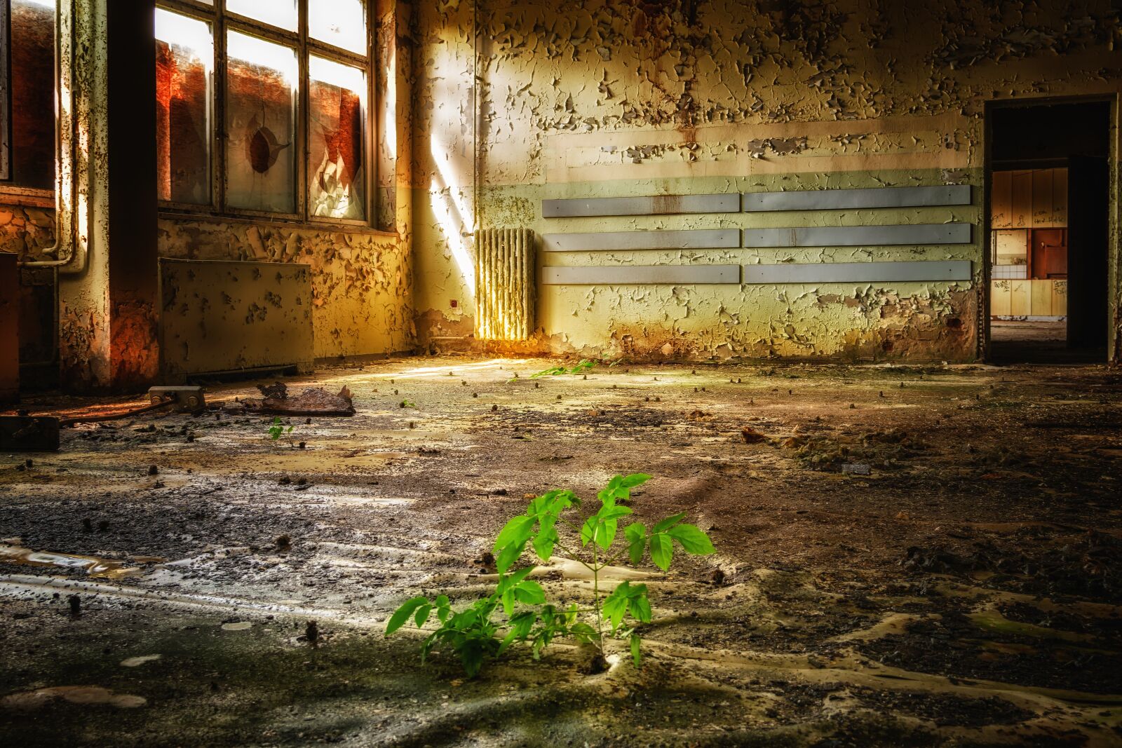Nikon D3300 sample photo. Building, room, lost places photography
