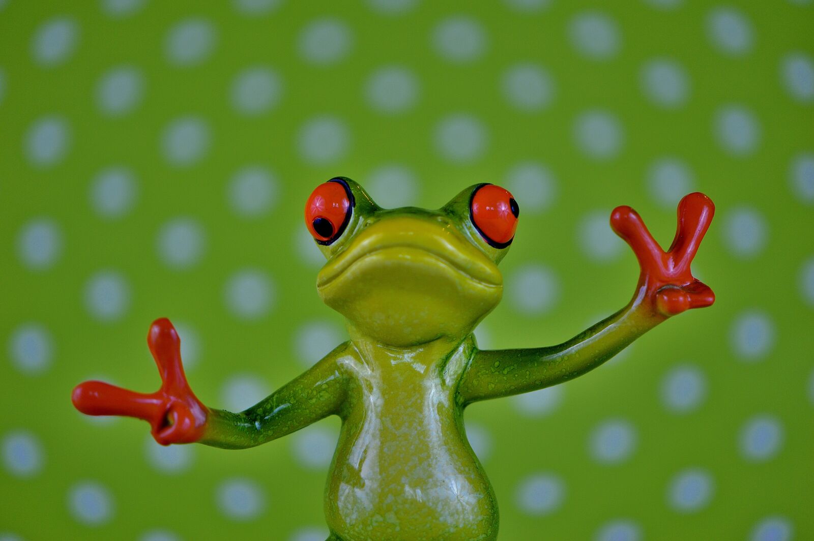 Nikon D3200 sample photo. Frog, gesture, peace photography