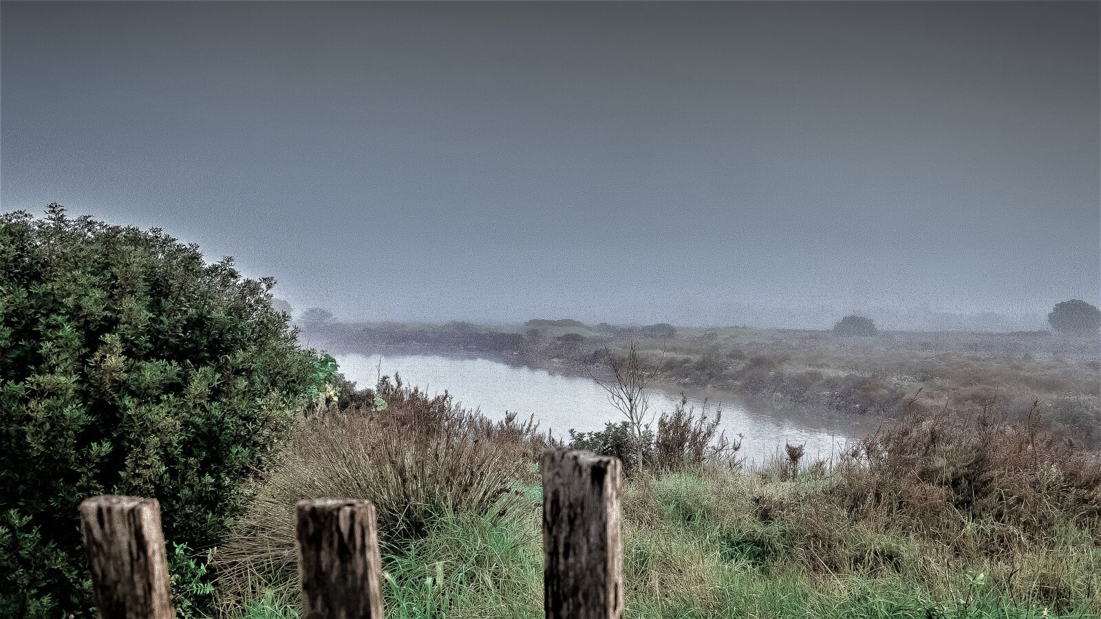 Nikon D5600 sample photo. Fog, autumn, water photography