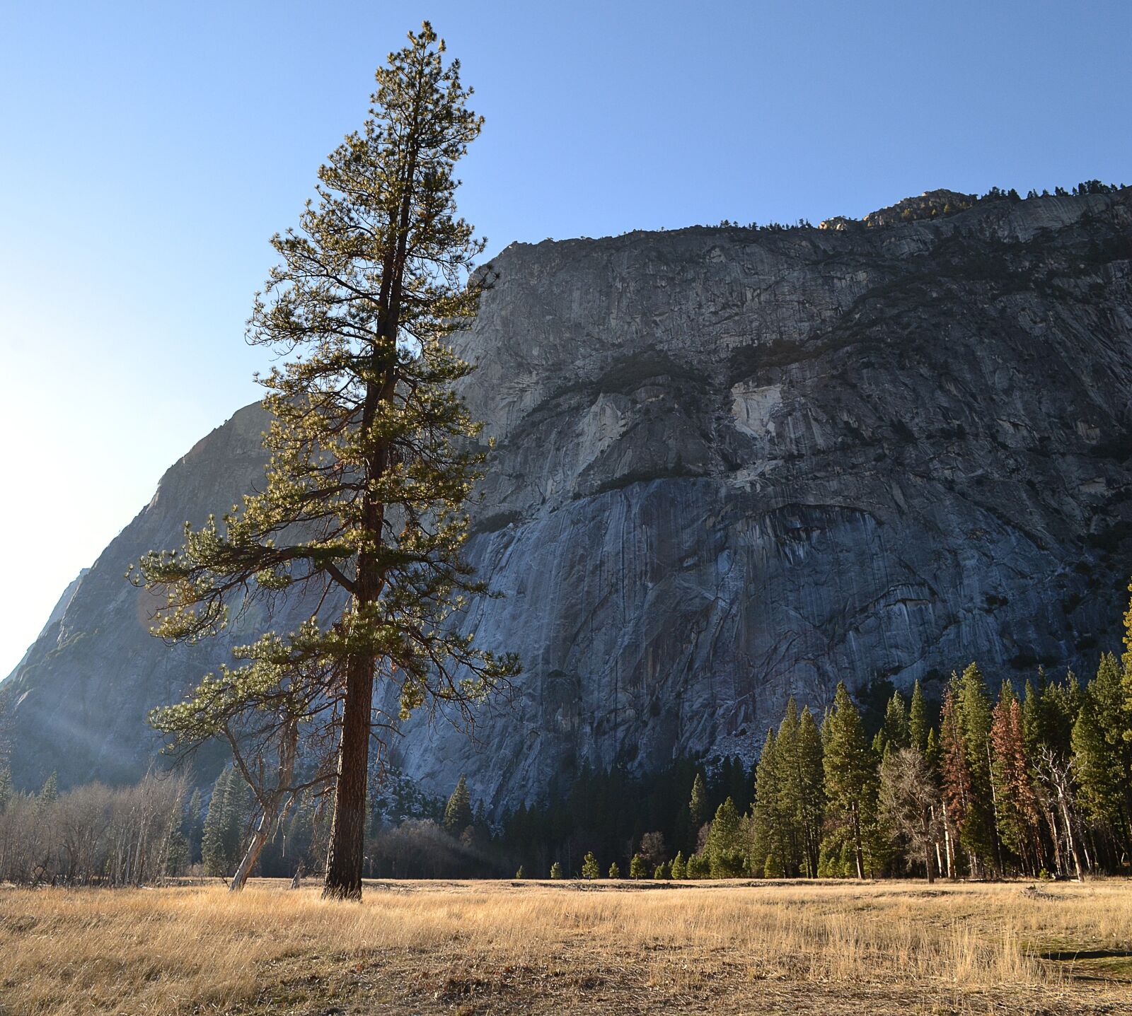 Nikon D3100 sample photo. Yosemite, nature, national park photography