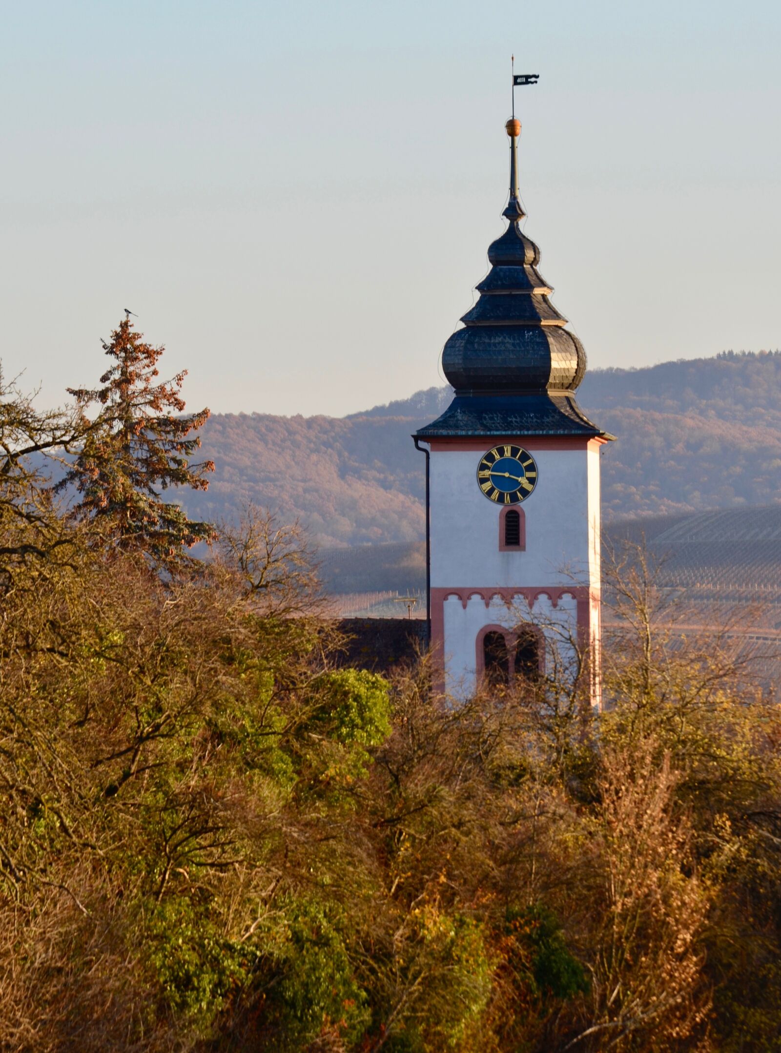 Nikon D5100 sample photo. Steeple, fall foliage, autumn photography