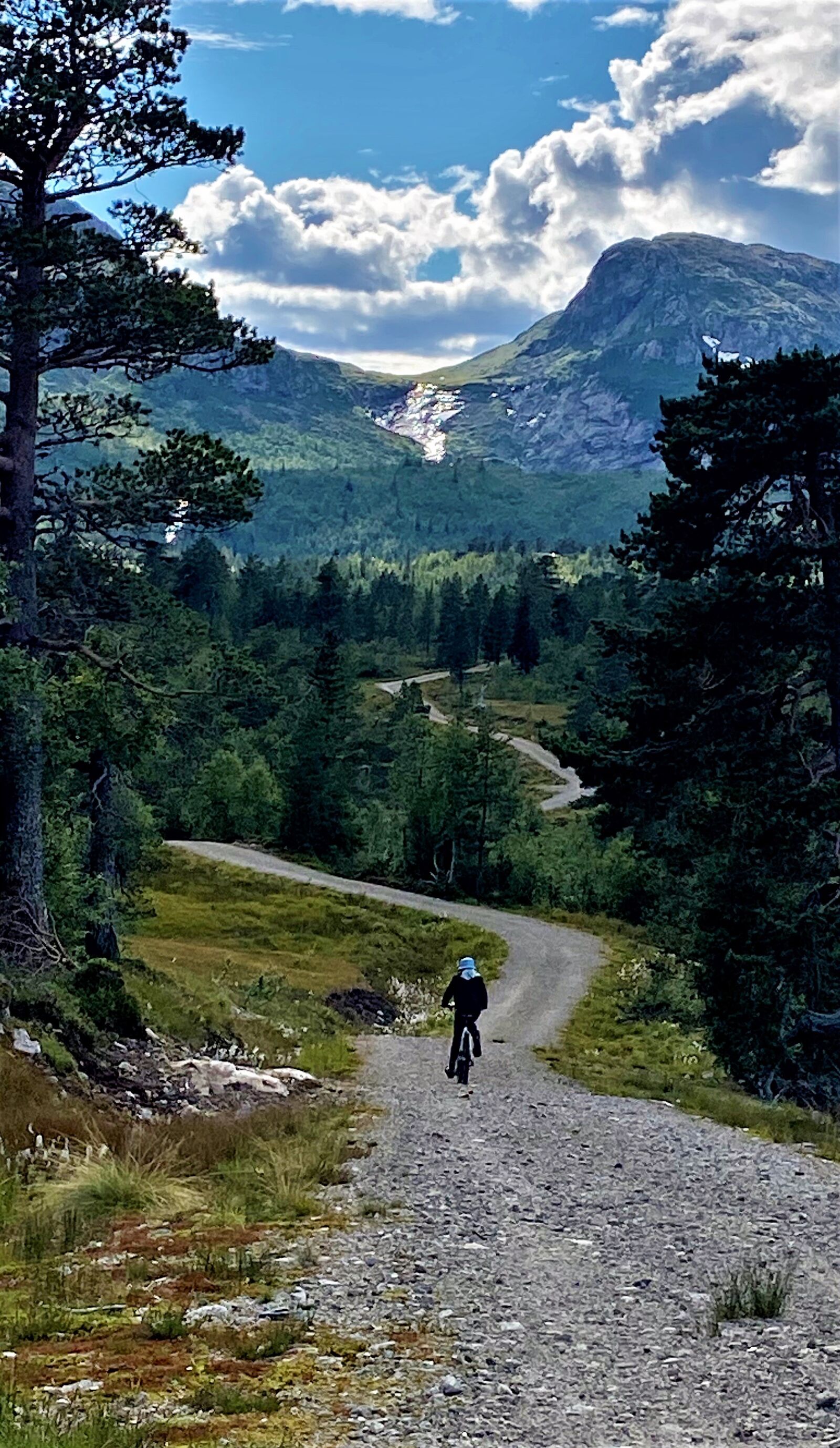 Apple iPhone 11 sample photo. Bike, mountain, cycling photography