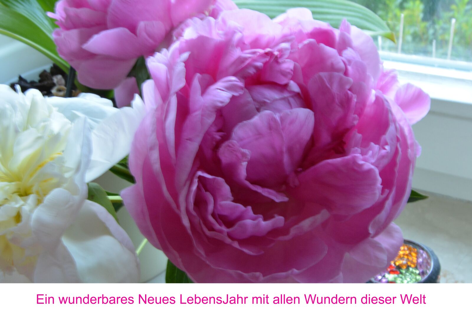 Nikon D5200 sample photo. Nature, flower, blossom photography