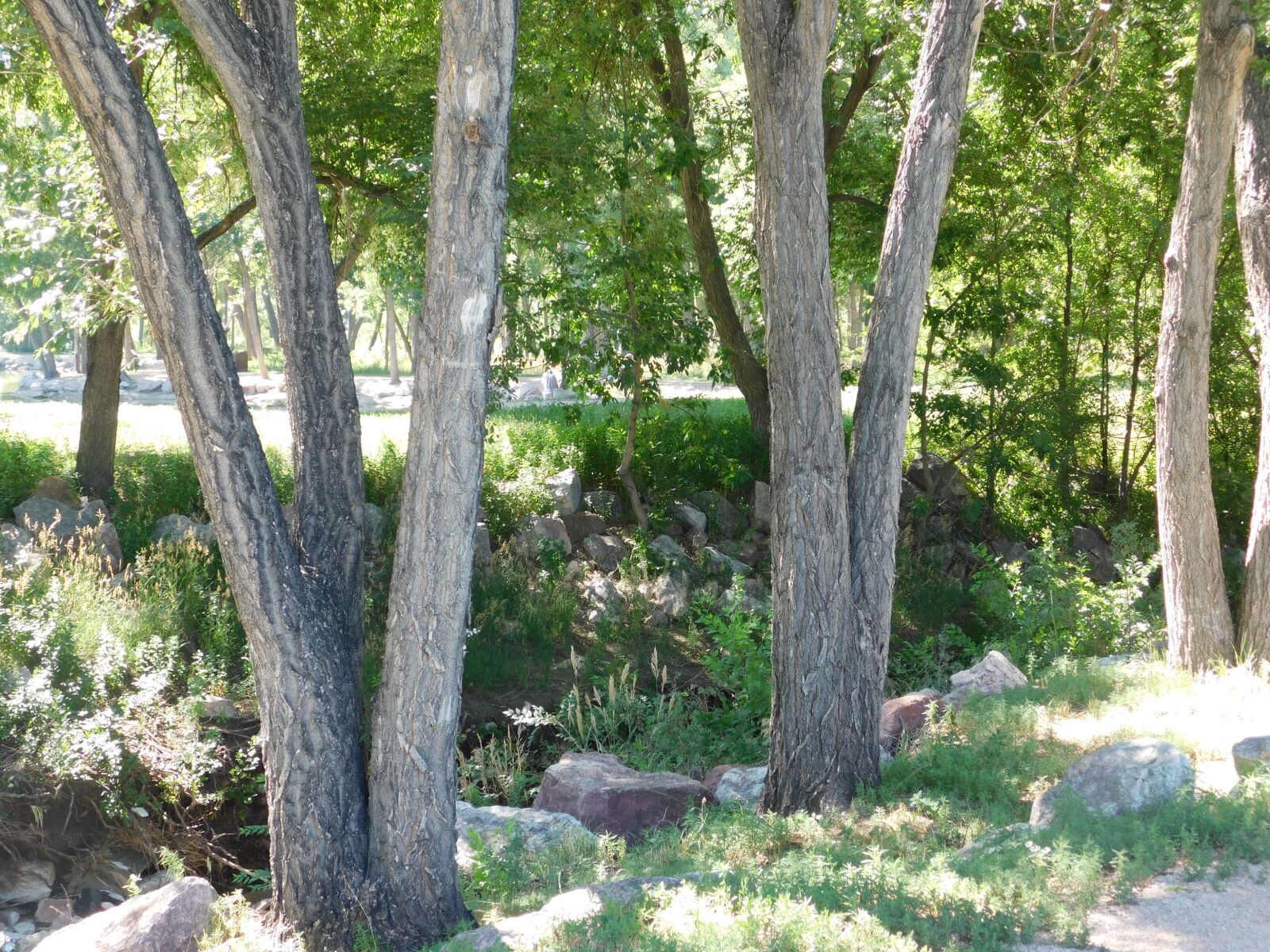 Nikon Coolpix B500 sample photo. Rocks, park, trees photography