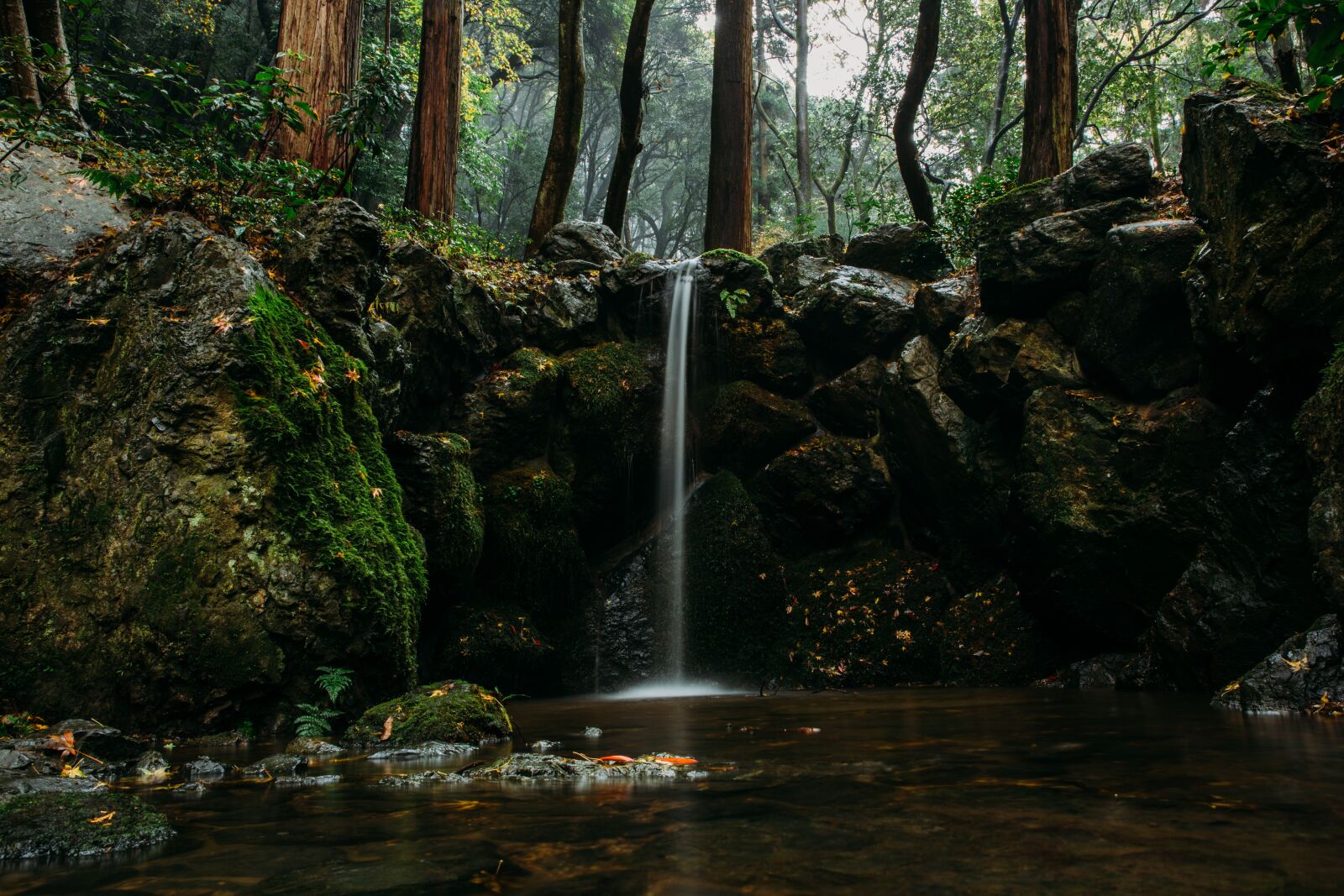 Canon EF 24-70mm F2.8L II USM sample photo. Waterfall, forest, calm photography