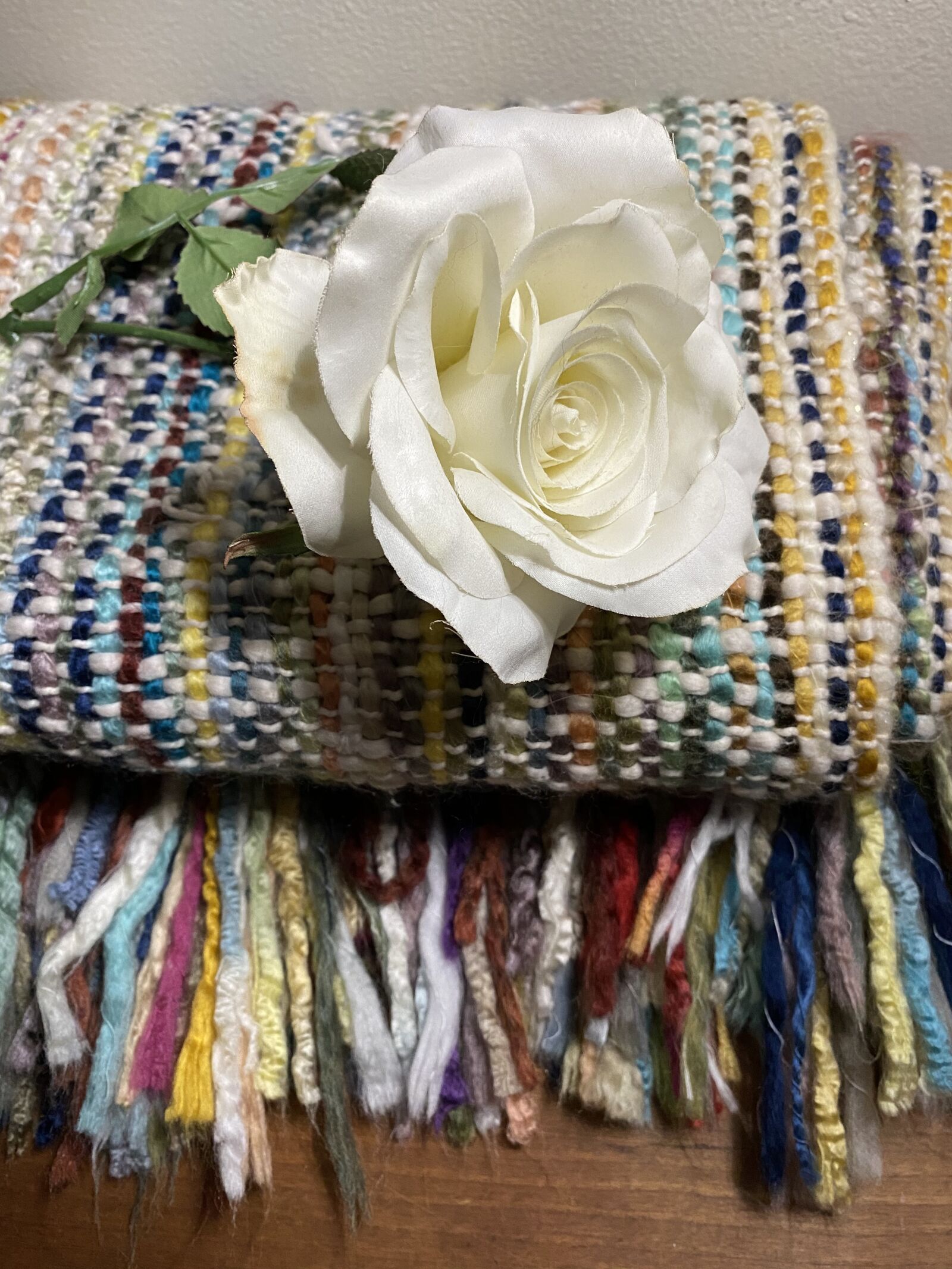 iPhone 11 back dual wide camera 4.25mm f/1.8 sample photo. Rose, throw blanket, comfort photography