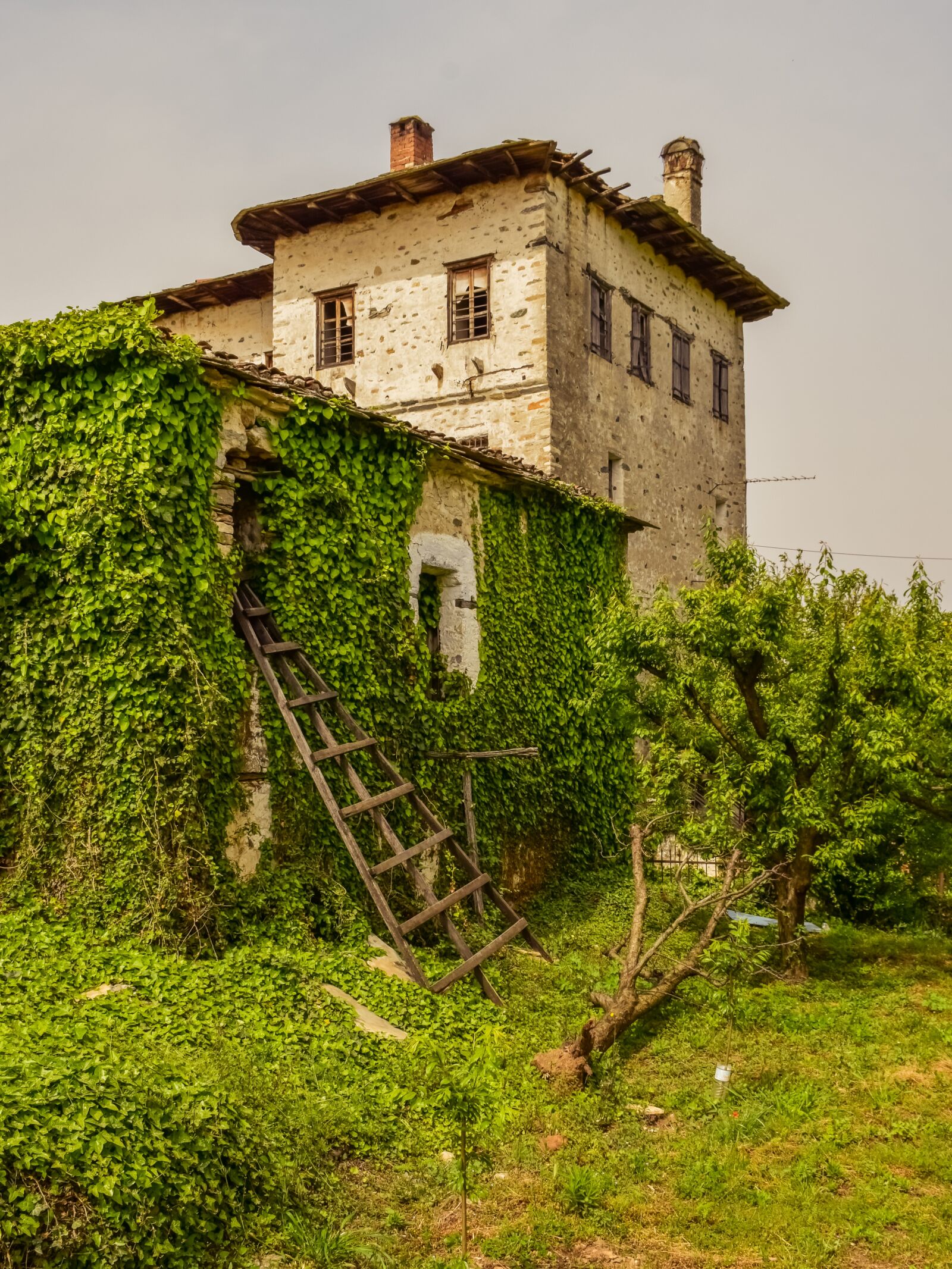 Nikon D3300 sample photo. House, tower, architecture photography