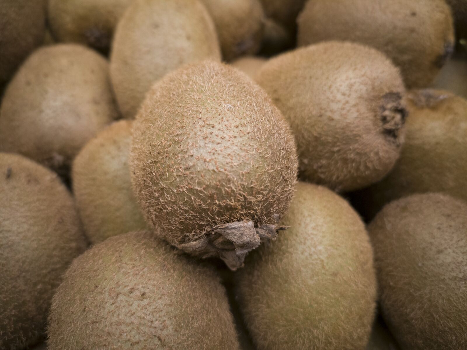 HUAWEI CLT-L09 sample photo. Kiwi, fruit, fresh photography