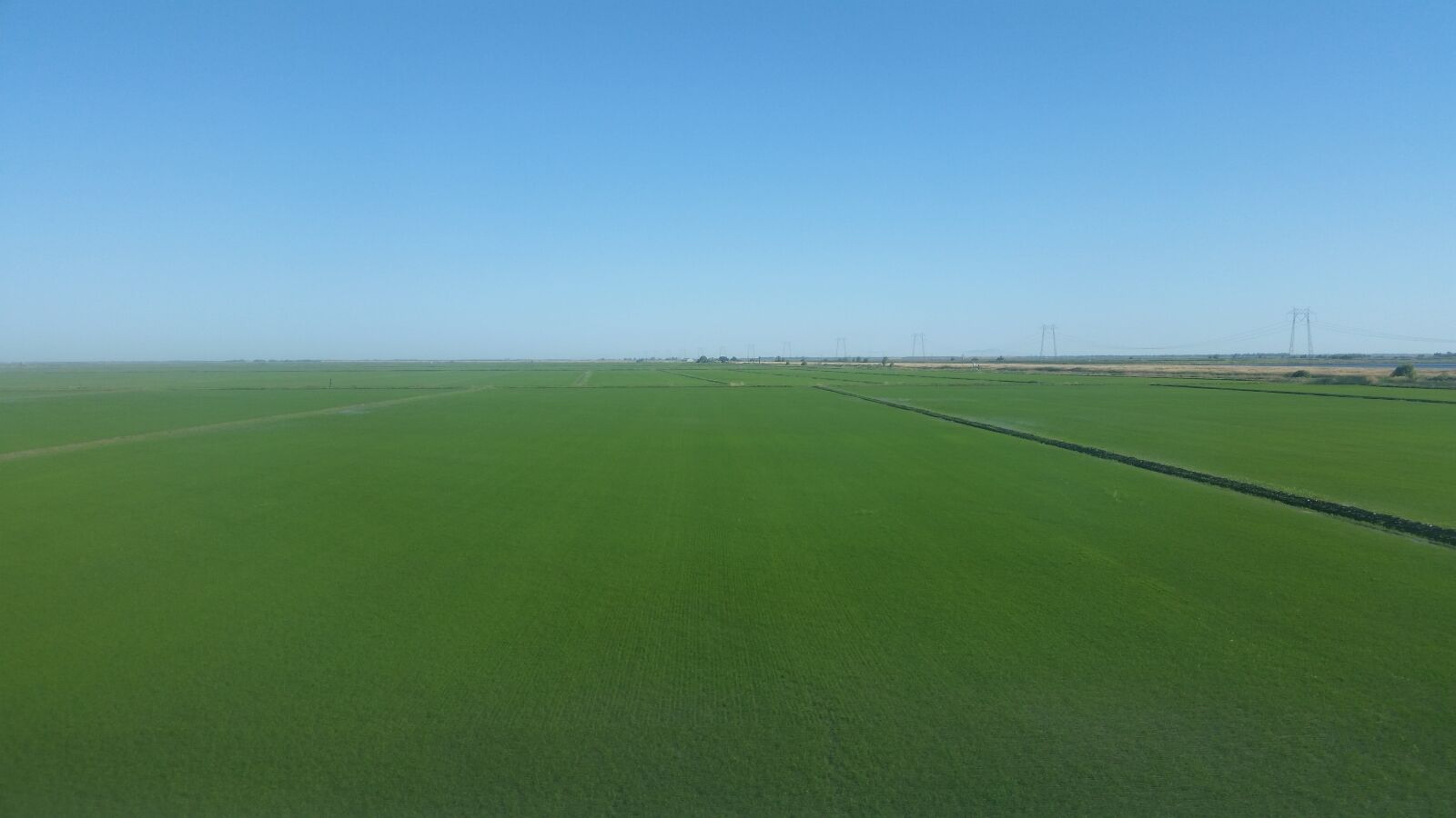 Samsung Galaxy S5 sample photo. Blue, sky, green photography