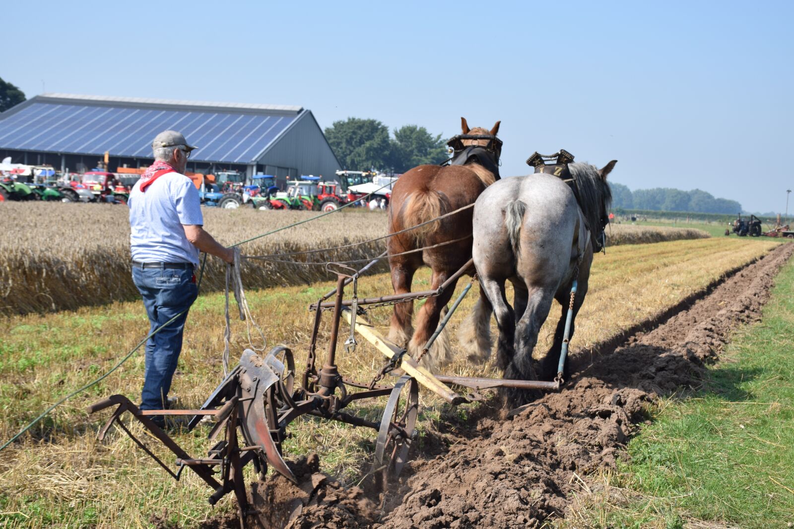 Nikon D5300 sample photo. Horse, team, farmer photography