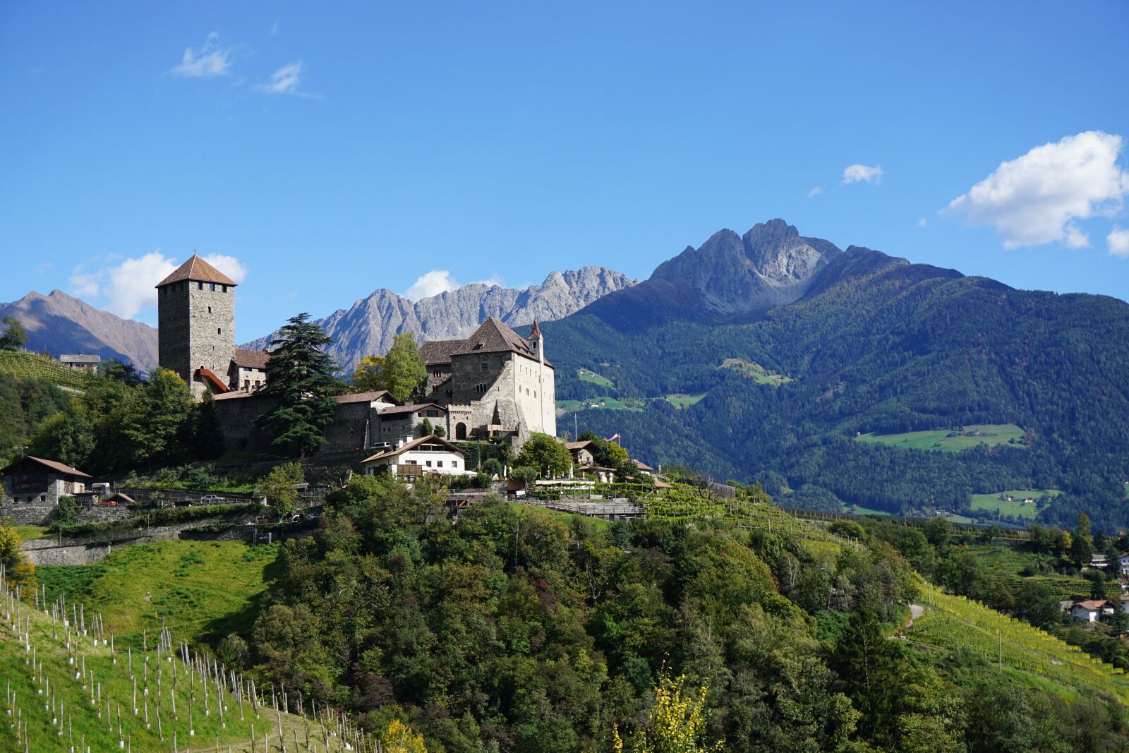 Sony a6000 sample photo. South tyrol, castle tyrol photography