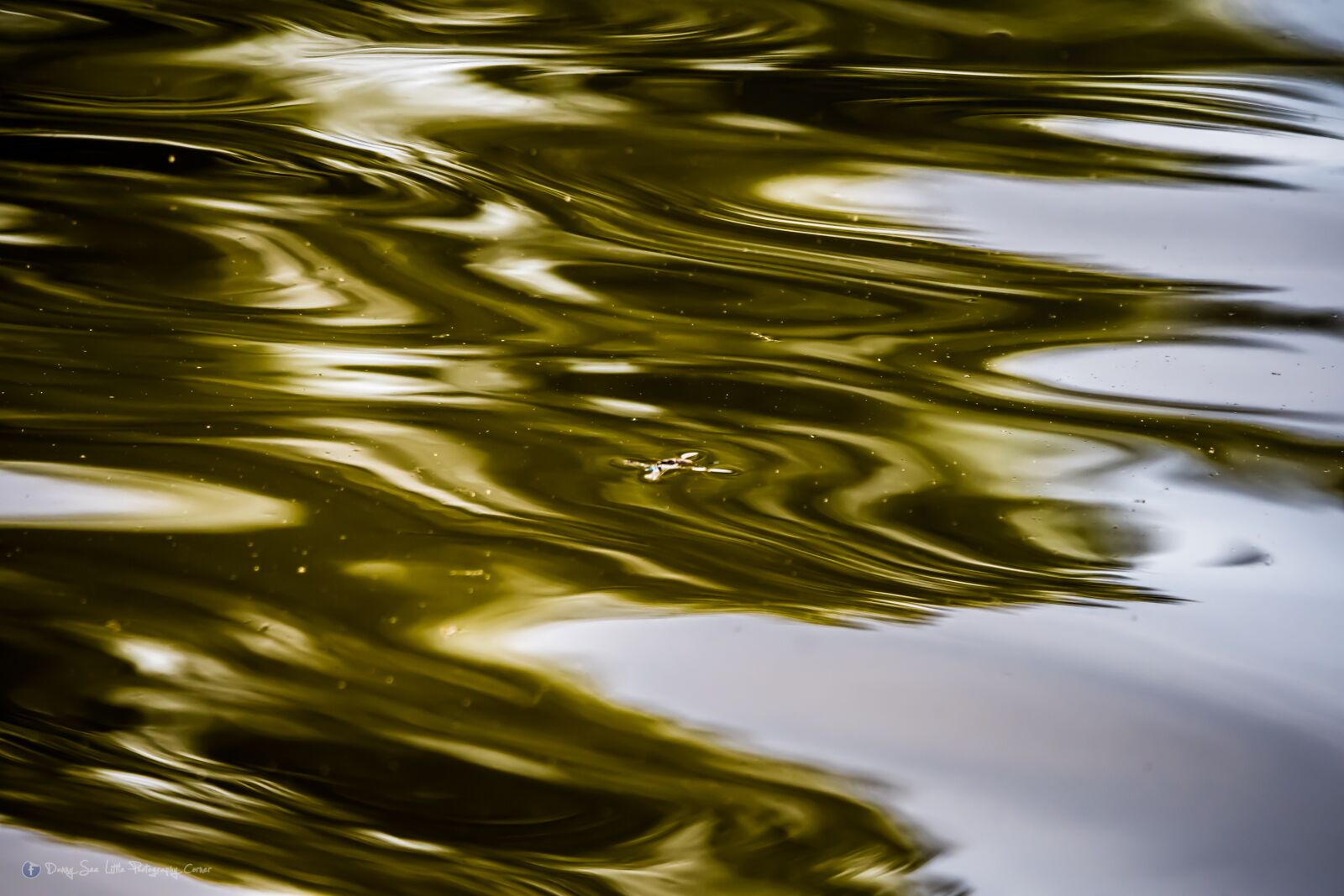 Nikon D500 sample photo. Water, abstract, ocean photography