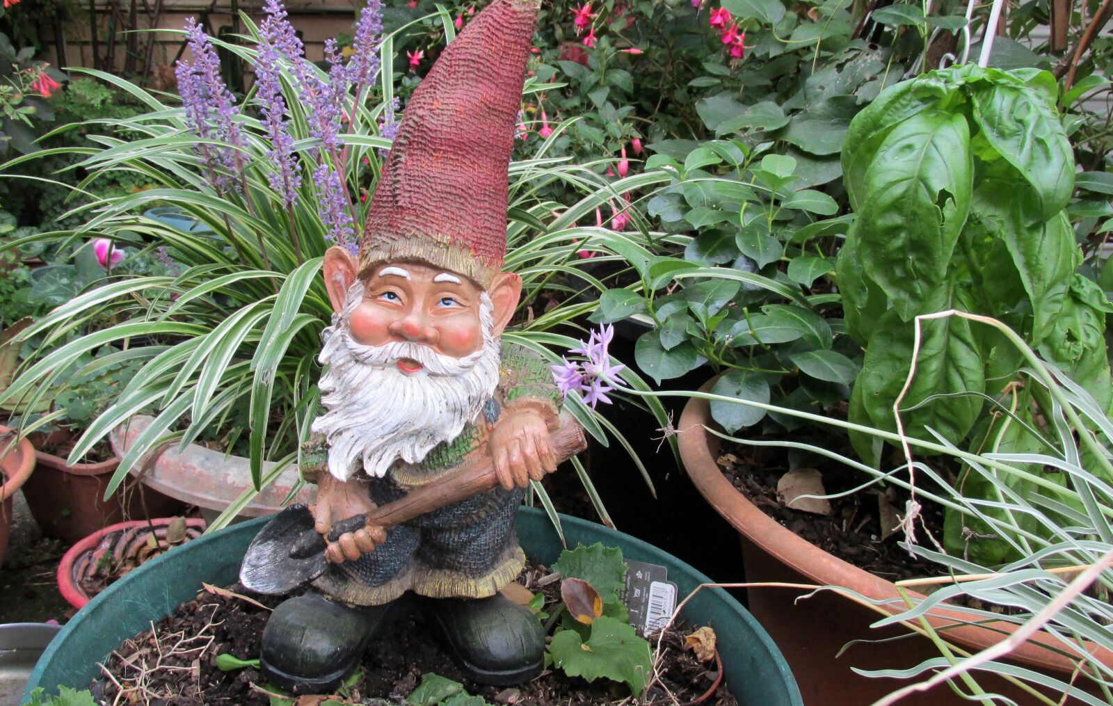 Canon PowerShot SX170 IS sample photo. Garden, gnome, digging photography