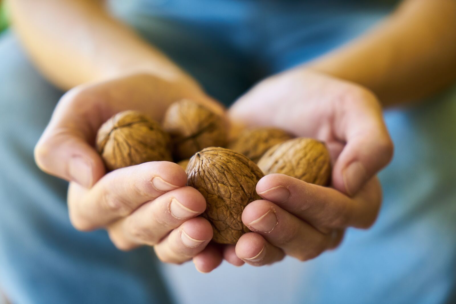 Sony a7R II sample photo. Walnut, healthy, health photography