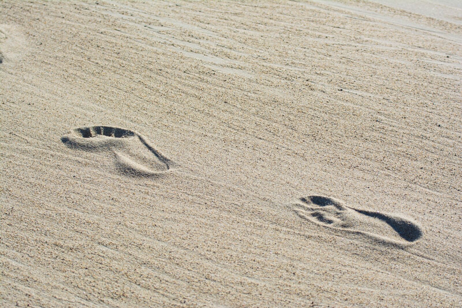 Tamron SP 70-300mm F4-5.6 Di VC USD sample photo. Sand, beach, traces photography