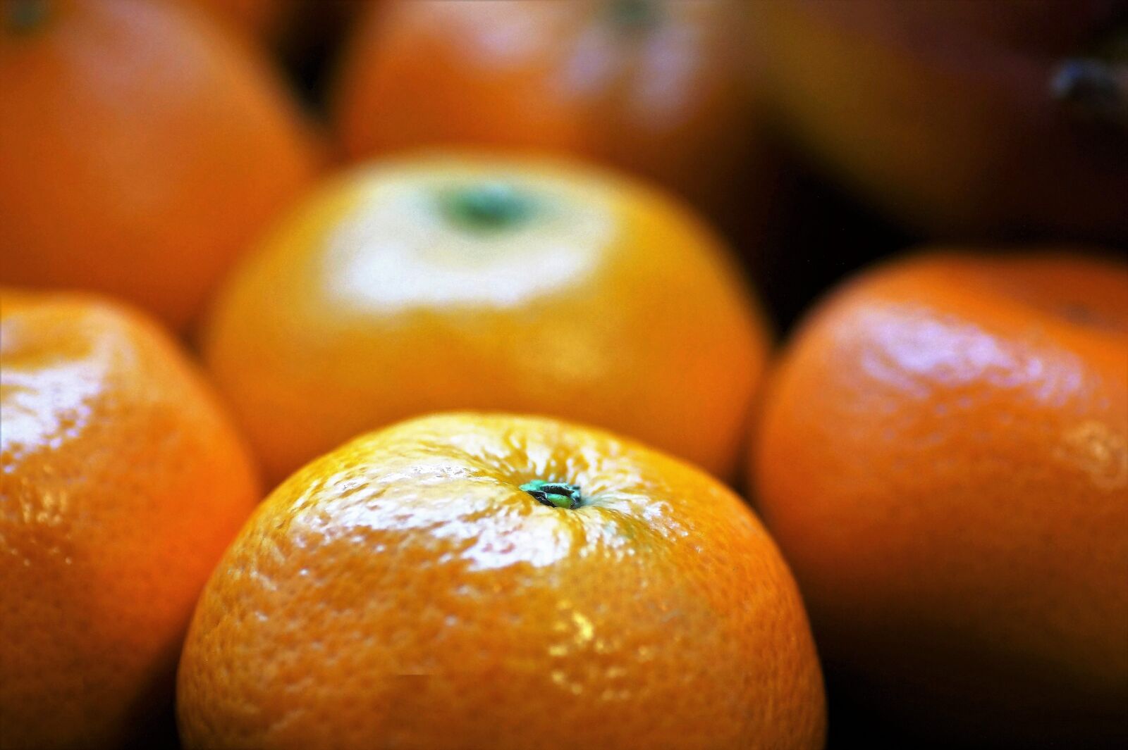 Sony SLT-A58 sample photo. Tangerines, citrus, fruits photography