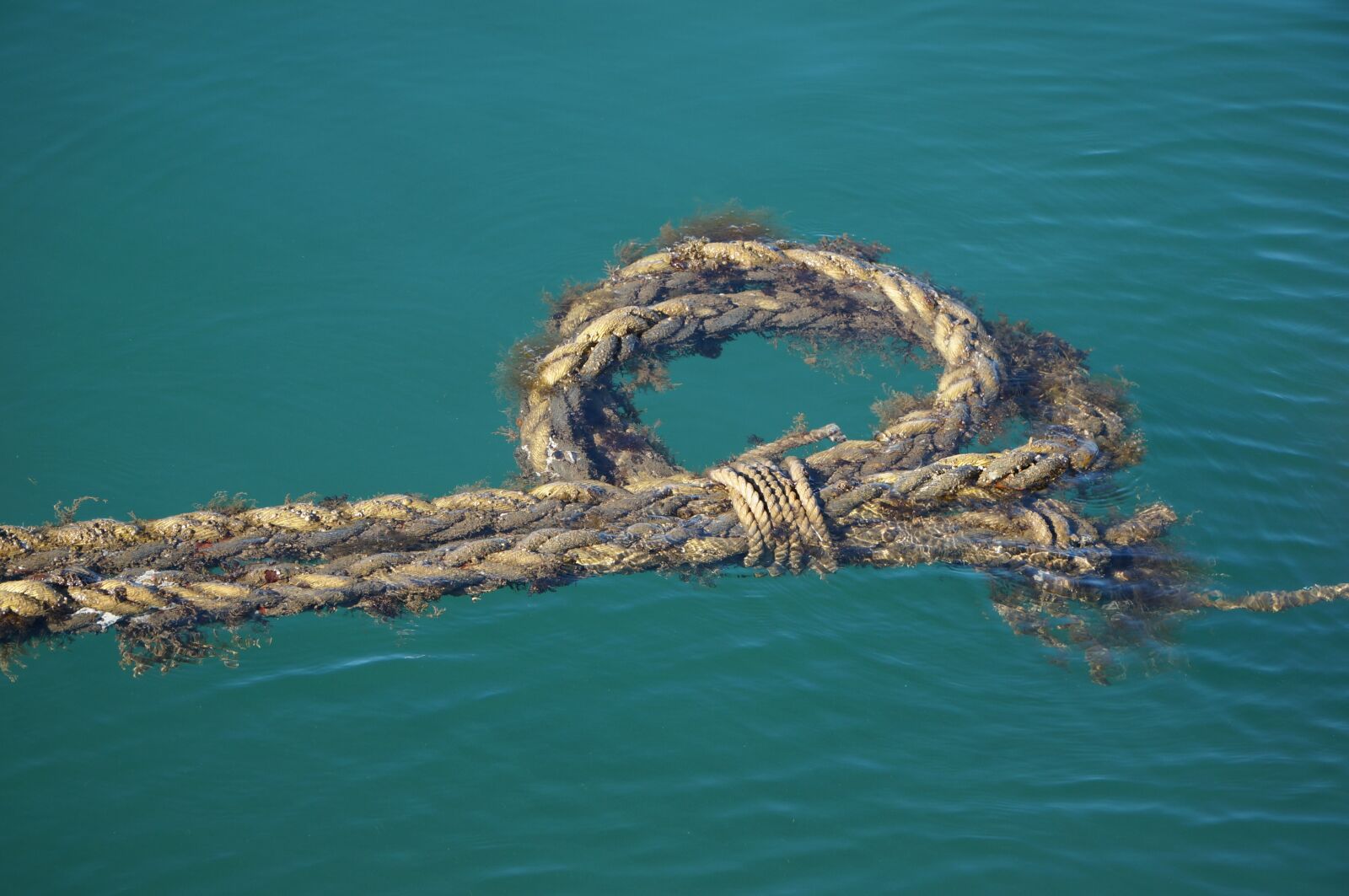 Sony Alpha NEX-6 sample photo. Ocean, rope, turquoise photography