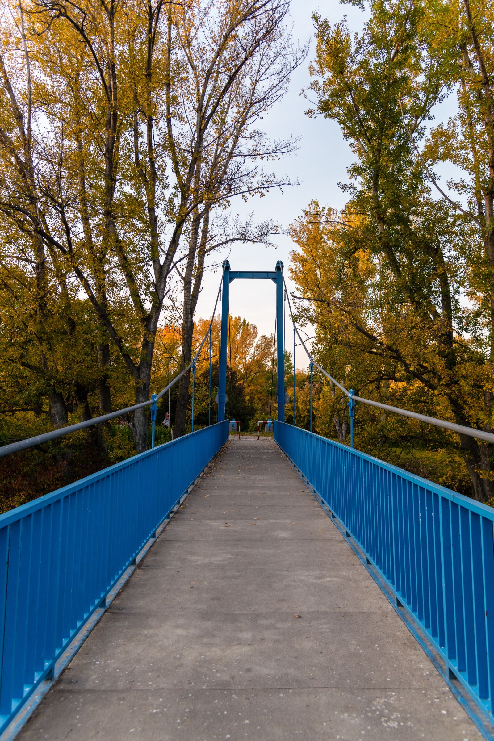 Nikon D850 sample photo. Bridge, the blue bridge photography