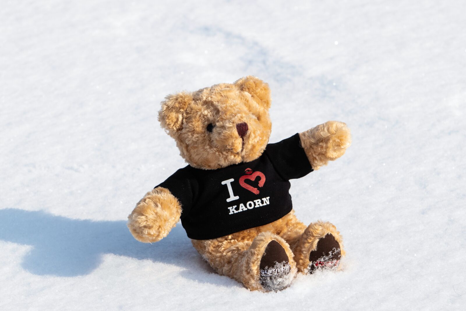 Canon EF 70-200mm F2.8L USM sample photo. Snow, winter, christmas photography