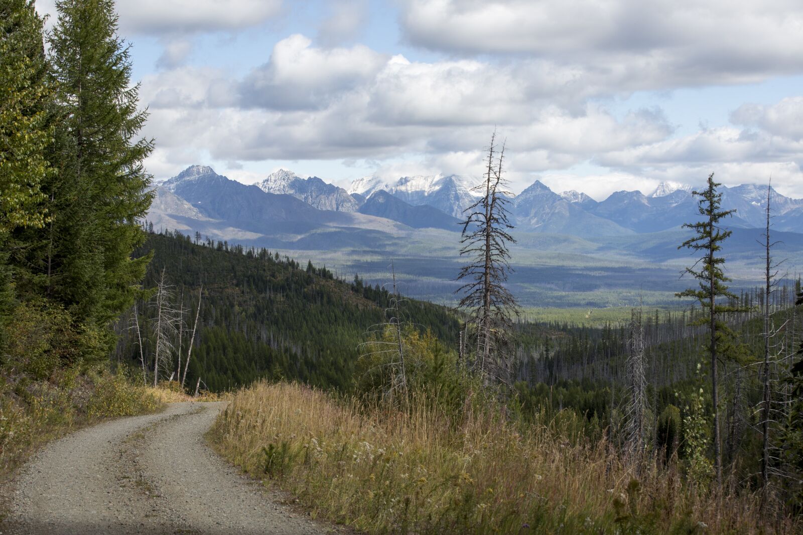 Canon EOS 5D Mark III sample photo. Glacier national park, forest photography