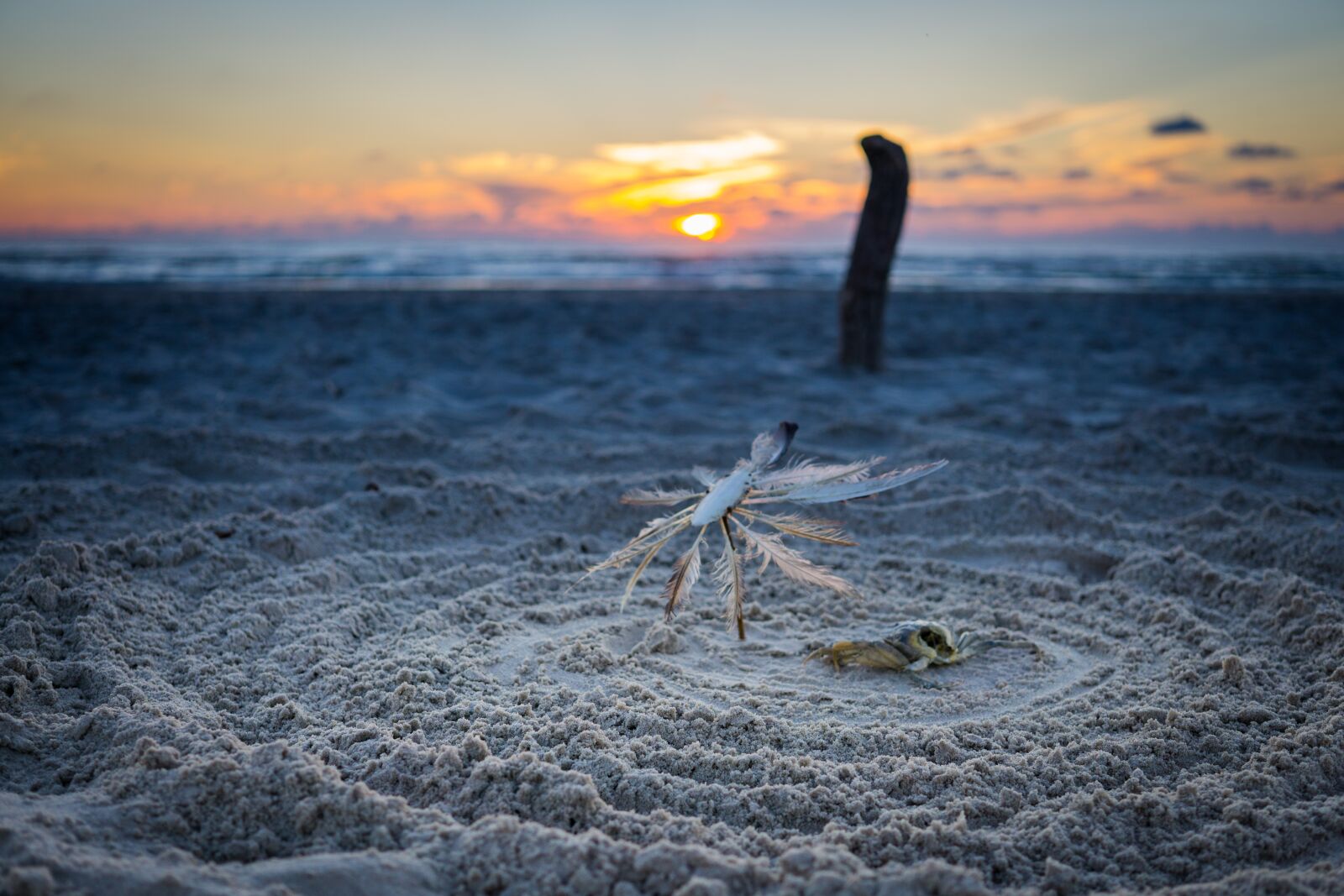Sony a6000 + Sigma 30mm F2.8 EX DN sample photo. Beach, nature, cancer photography