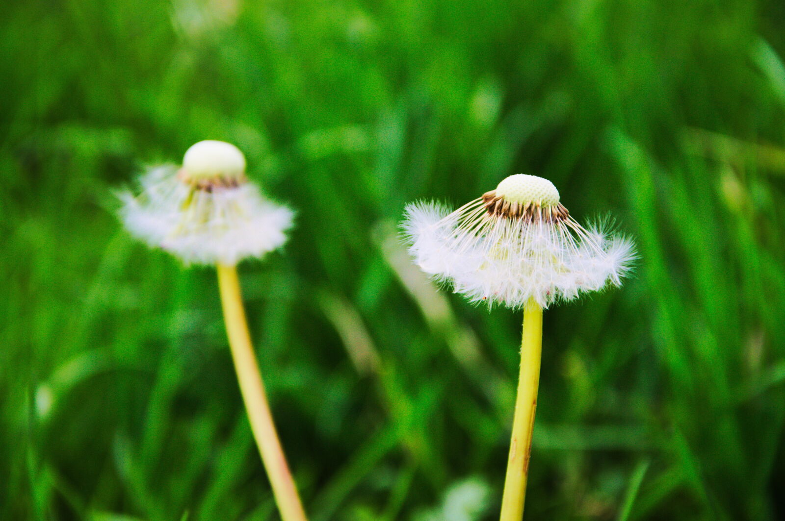 Nikon D3200 sample photo