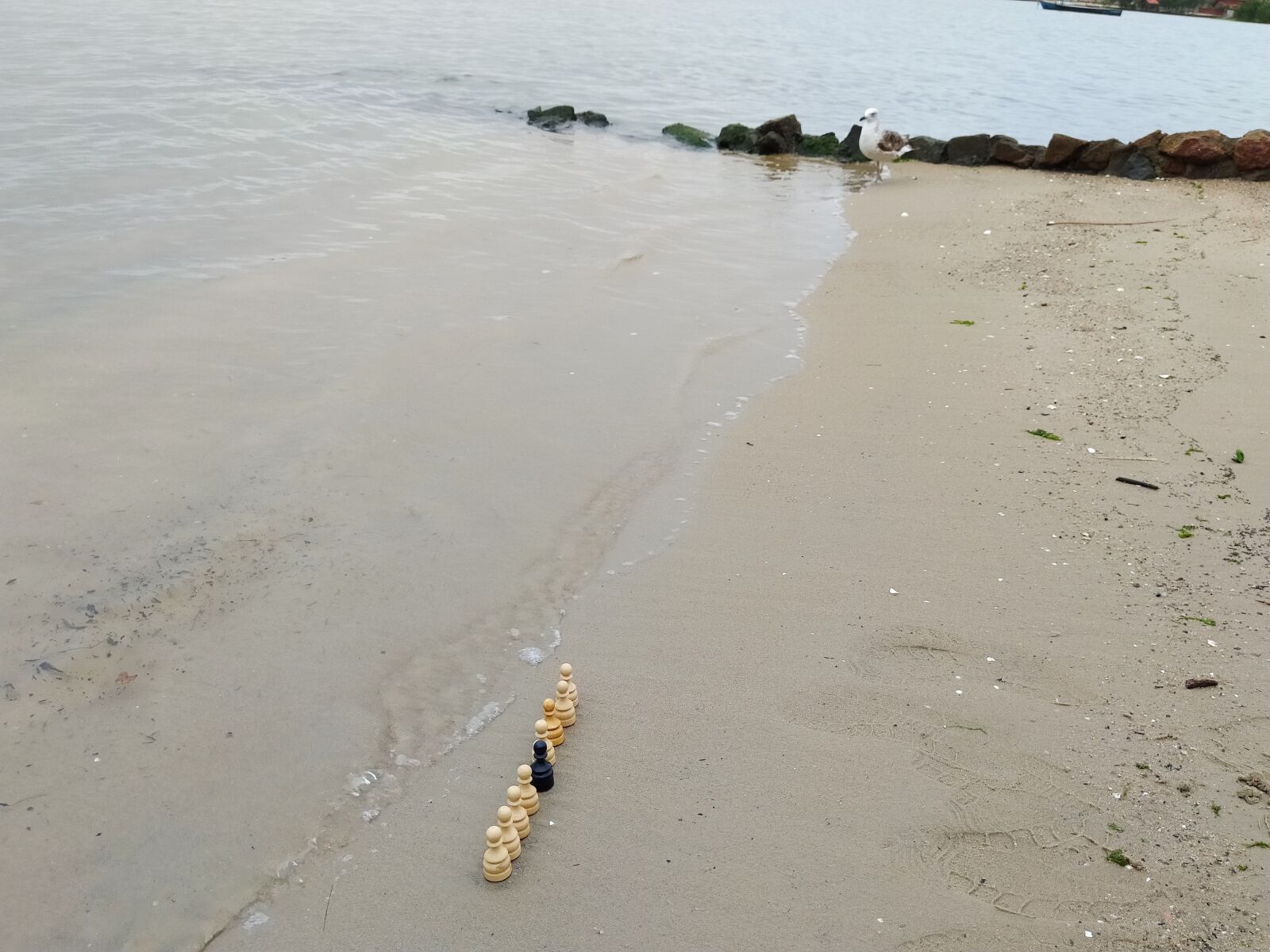 Xiaomi Redmi Note 8 sample photo. Praia, pe as de photography