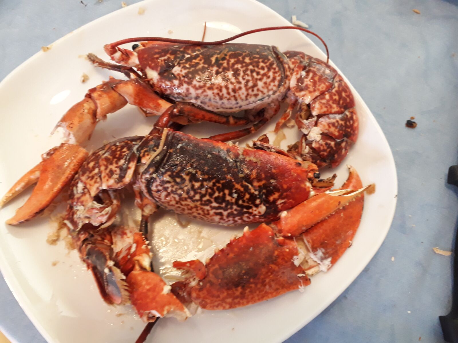 Samsung Galaxy A3(2017) sample photo. Lobster, breton, flat photography