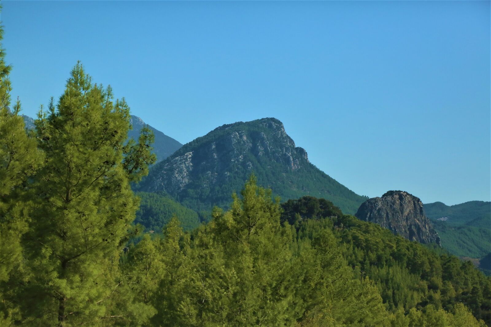 Canon EF 24-105mm F4L IS USM sample photo. Mountains, green, forest photography