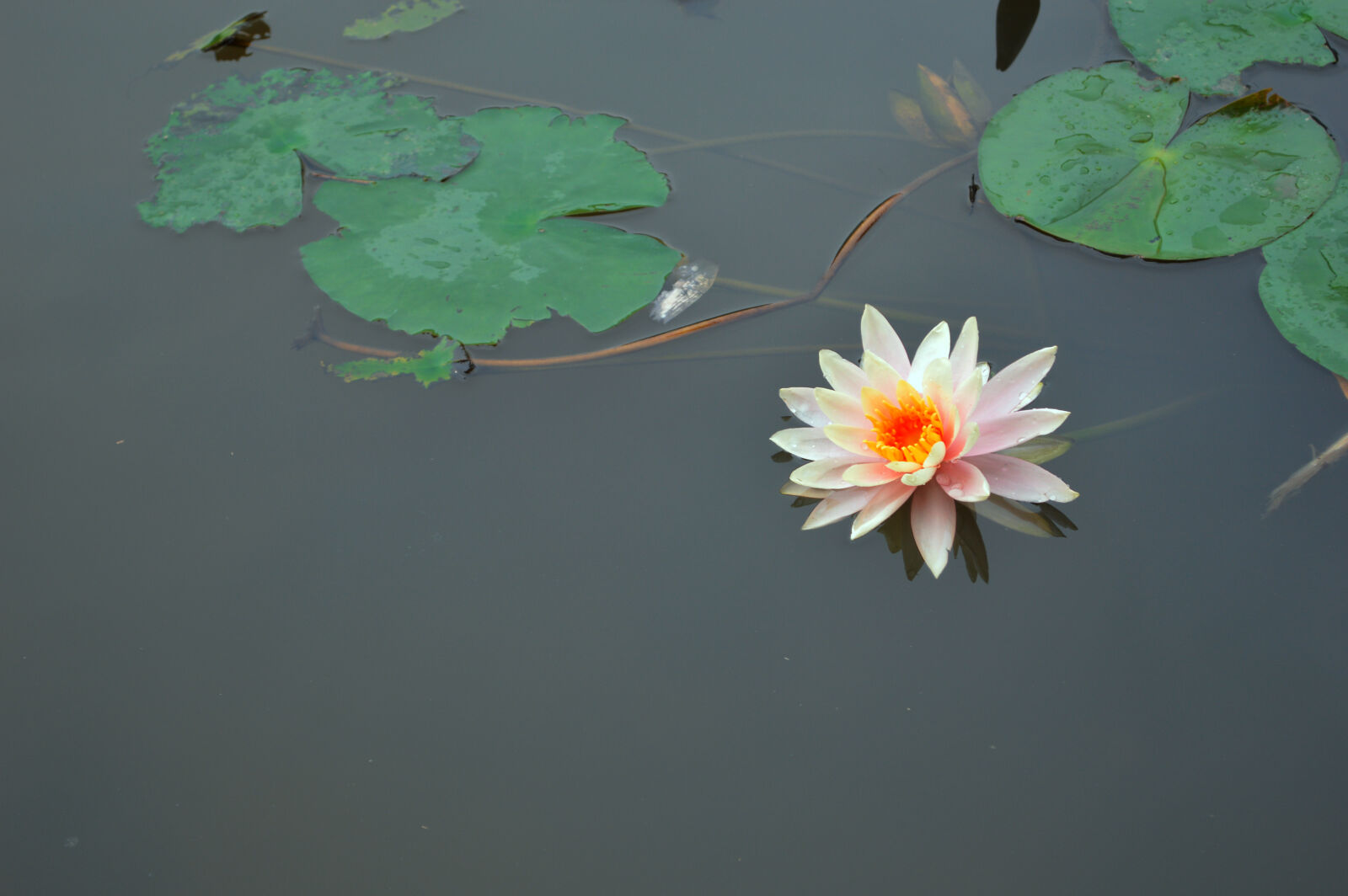 Nikon D3200 sample photo