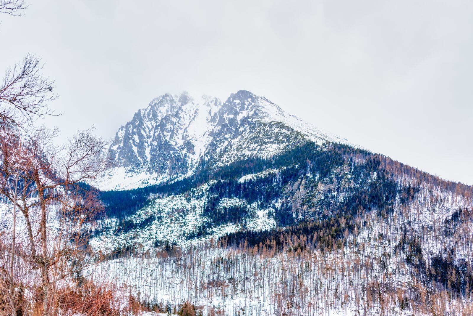 Nikon D5600 sample photo. Lomnicky stit, lomnicky peak photography