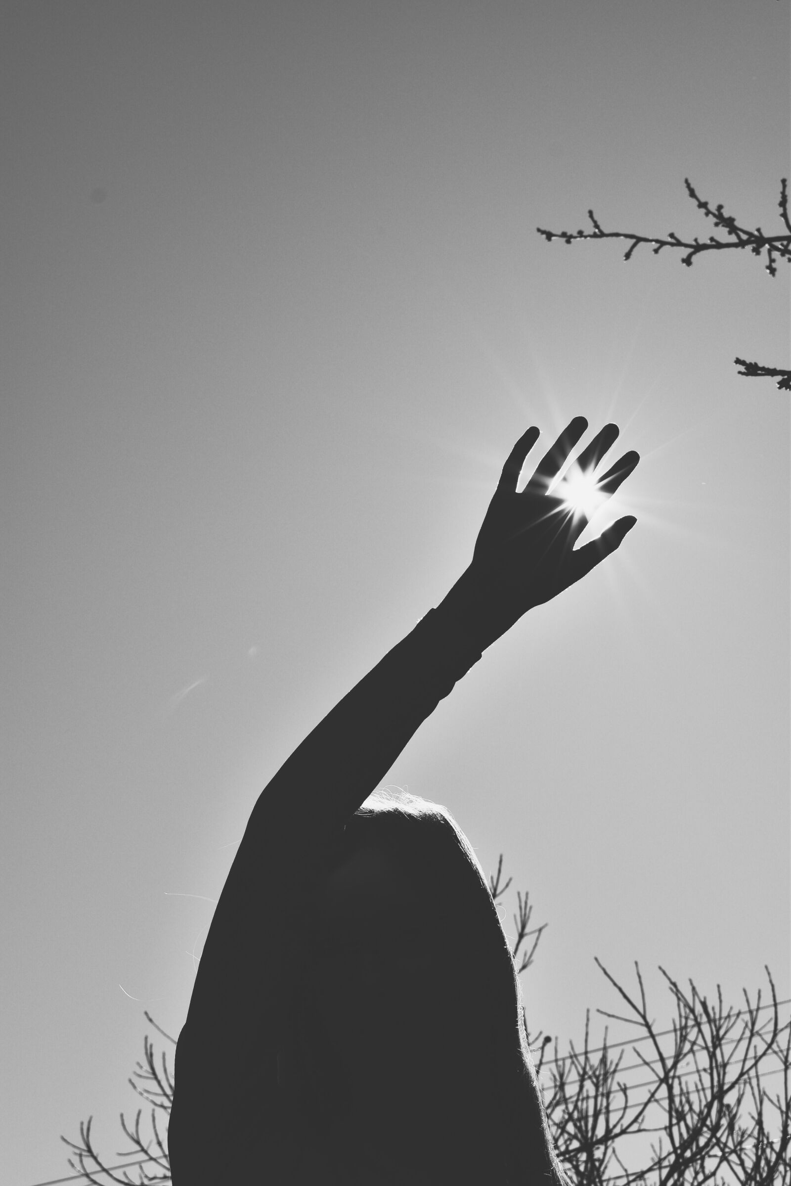 Nikon D3500 sample photo. Grey, sun, white photography
