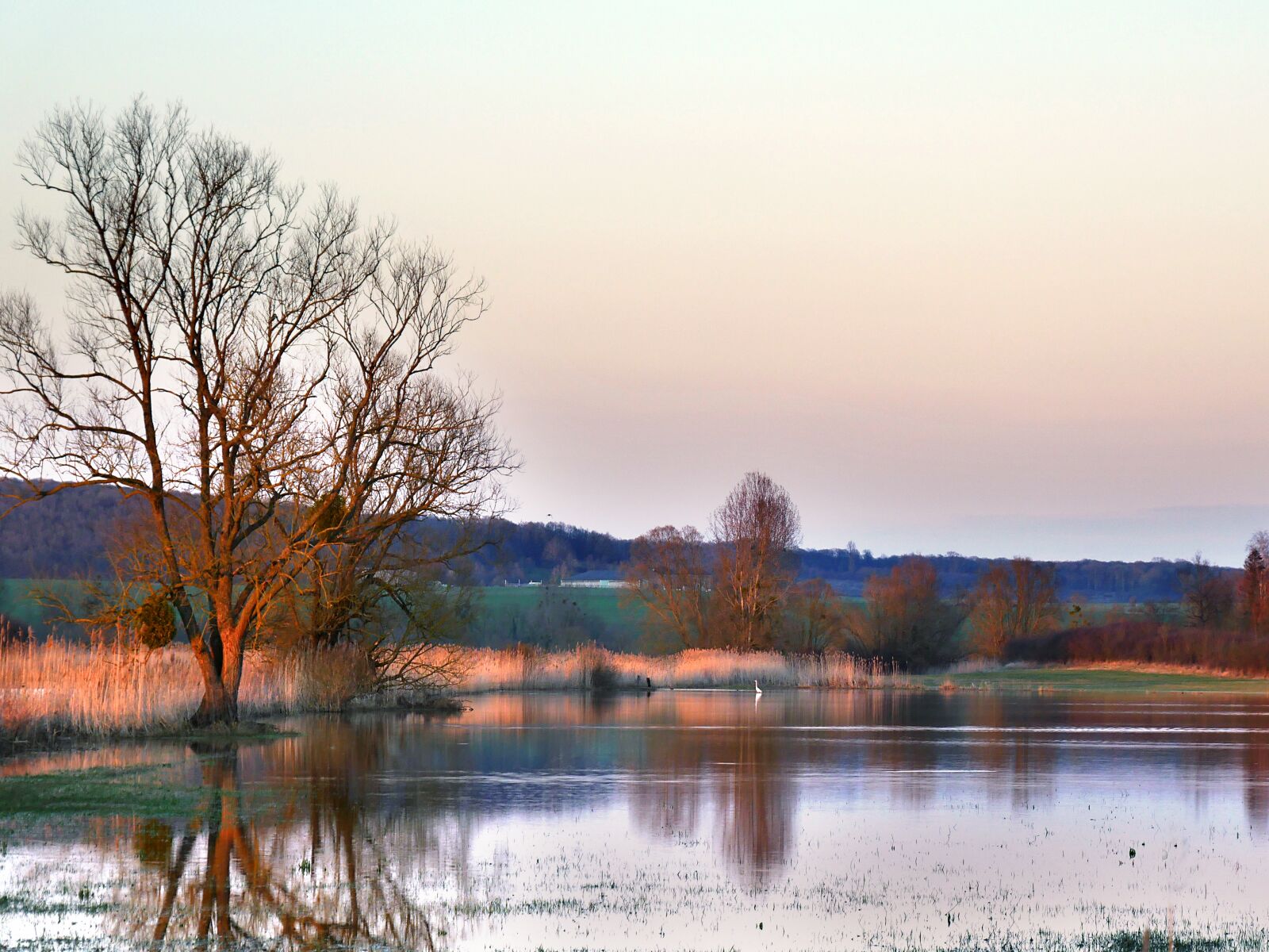 Panasonic Lumix DMC-GX8 sample photo. Countryside, twilight, orange photography