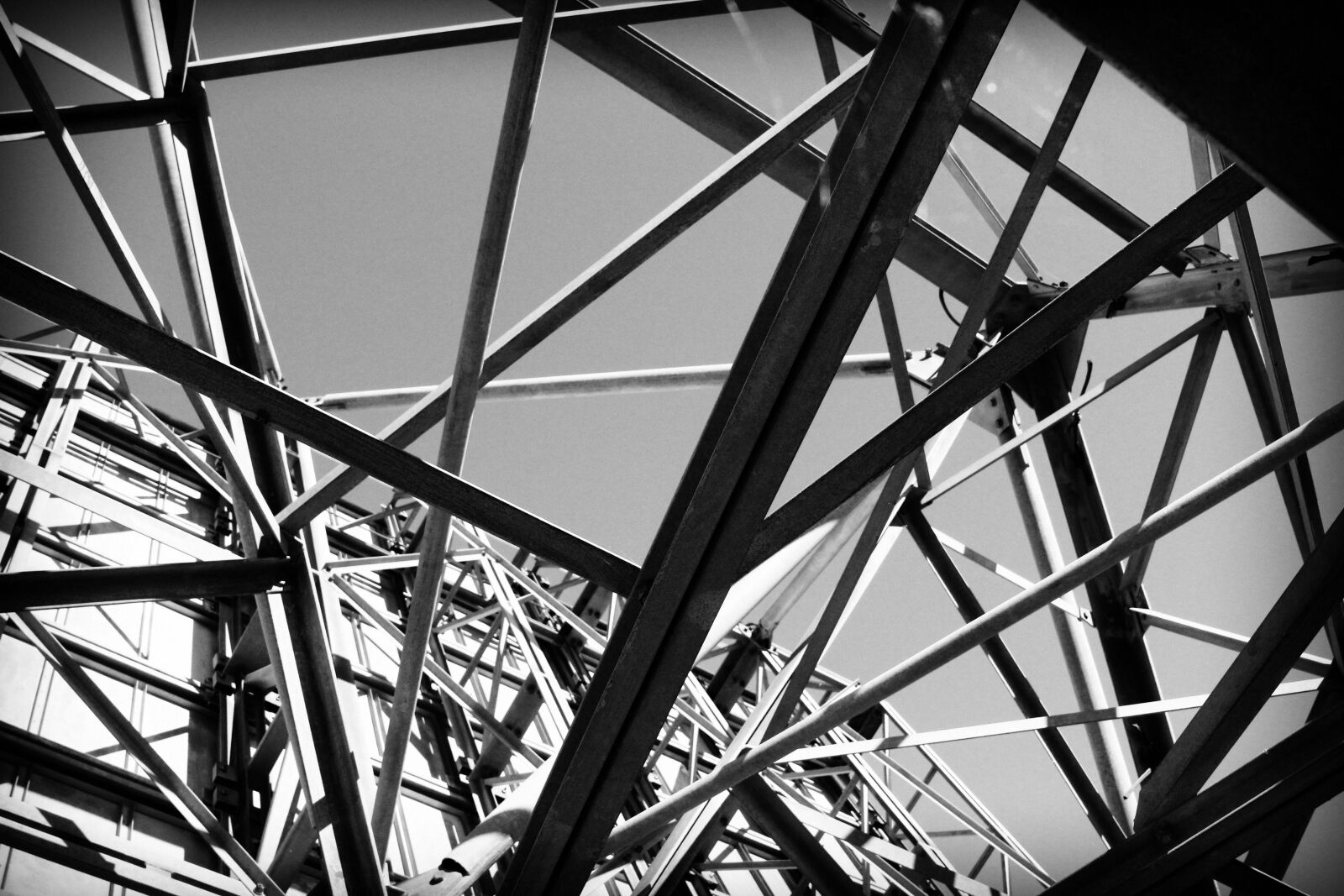 Canon EOS 600D (Rebel EOS T3i / EOS Kiss X5) sample photo. Black and white, white photography