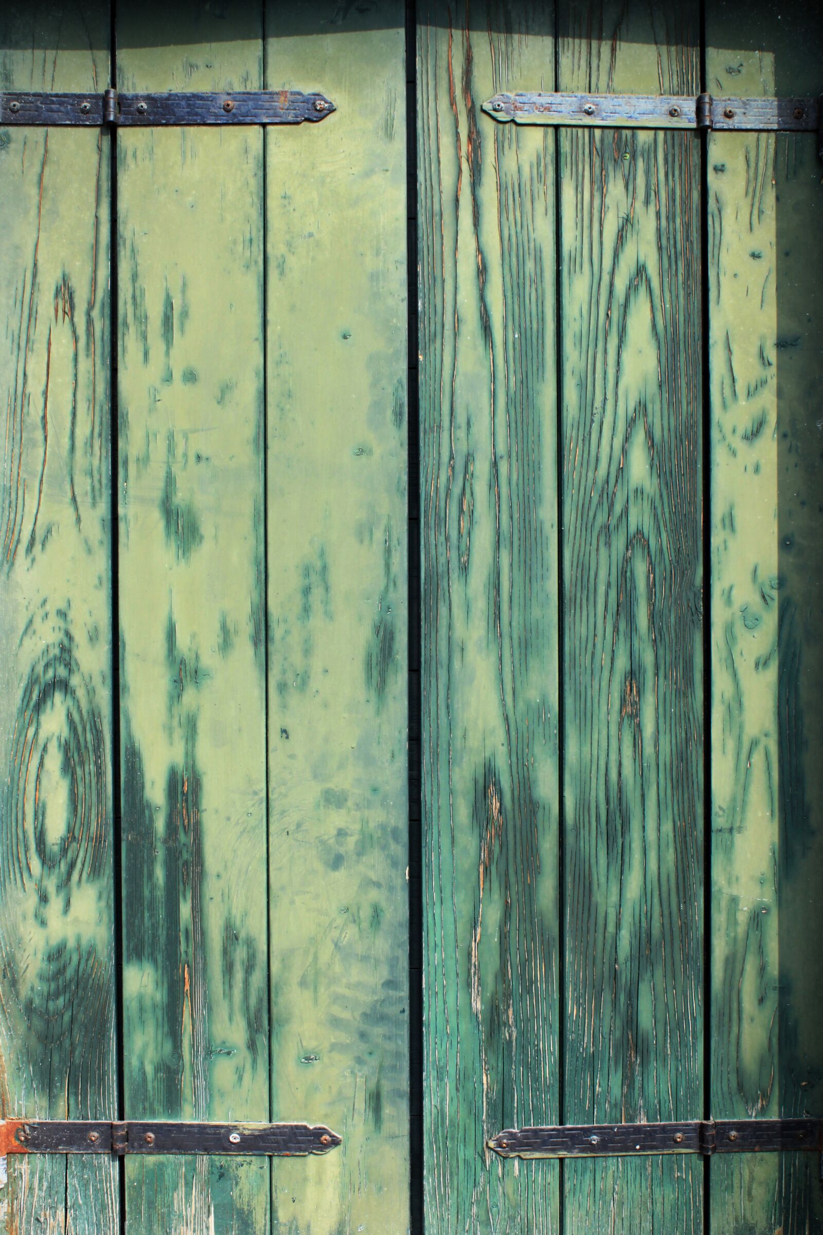 Canon EOS 500D (EOS Rebel T1i / EOS Kiss X3) sample photo. Beautiful, beauty, burano photography