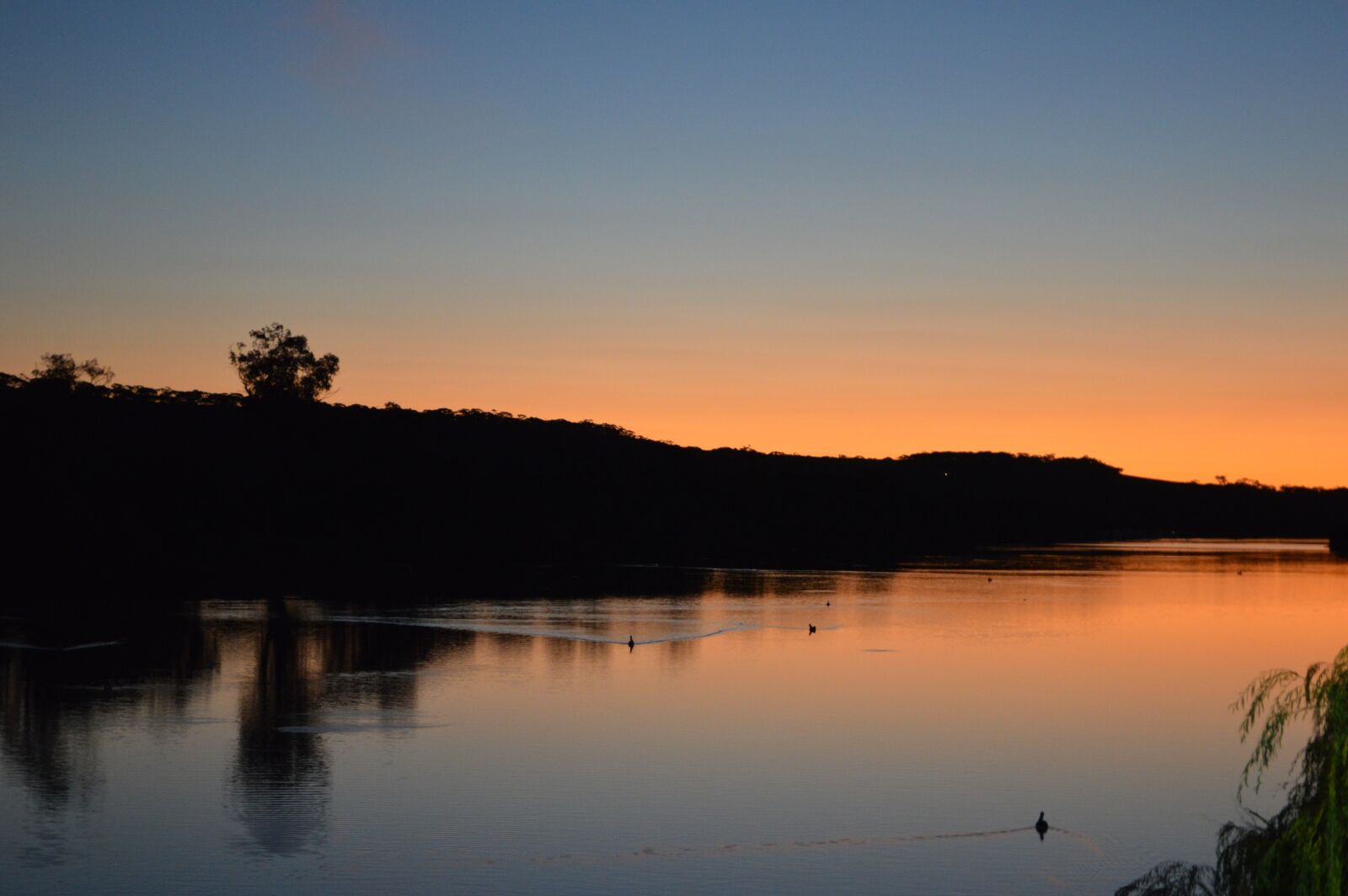 Nikon D3200 sample photo. Murray river, sunset, south photography