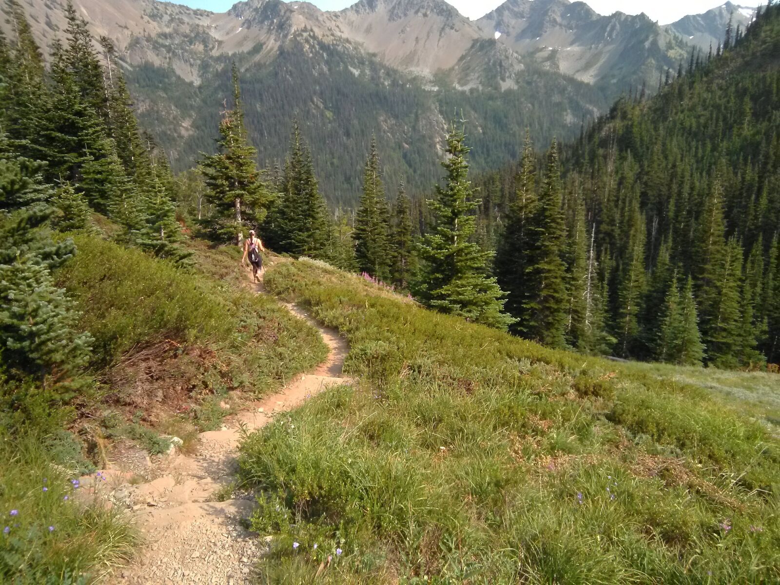 HMD Global Nokia 2 sample photo. Trail, forest, washed out photography