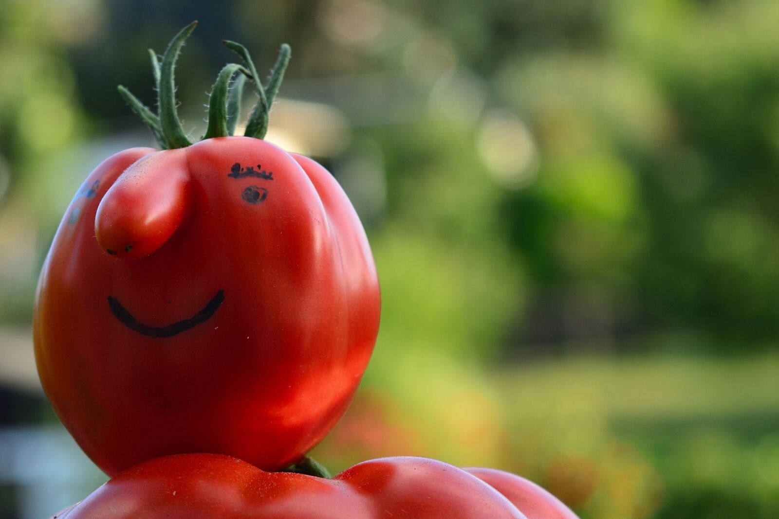 Nikon D5200 sample photo. Tomato, strange, funny photography